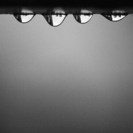tear-drops-macro-photography-696644